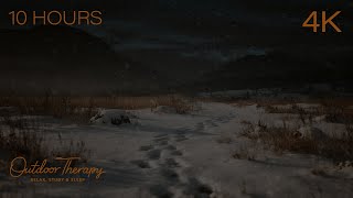 SNOWFIELD SILENCE | Howling Wind & Blowing Snow to Calm Your Noisy Mind | 10 Hours