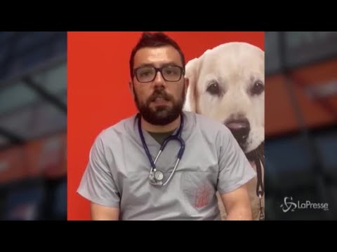 Animali: le 10 regole "salva vacanze"