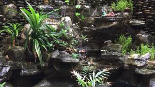 Relaxing Piano Music, Sleep Music, Relaxation Music, Study Music