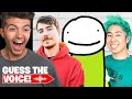Guessing YouTubers Using ONLY Their Voice