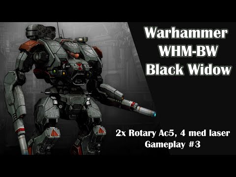 Mechwarrior Online - Rubellite Oasis - Warhammer Black Widow | 2x rotary ac5, 4x med laser