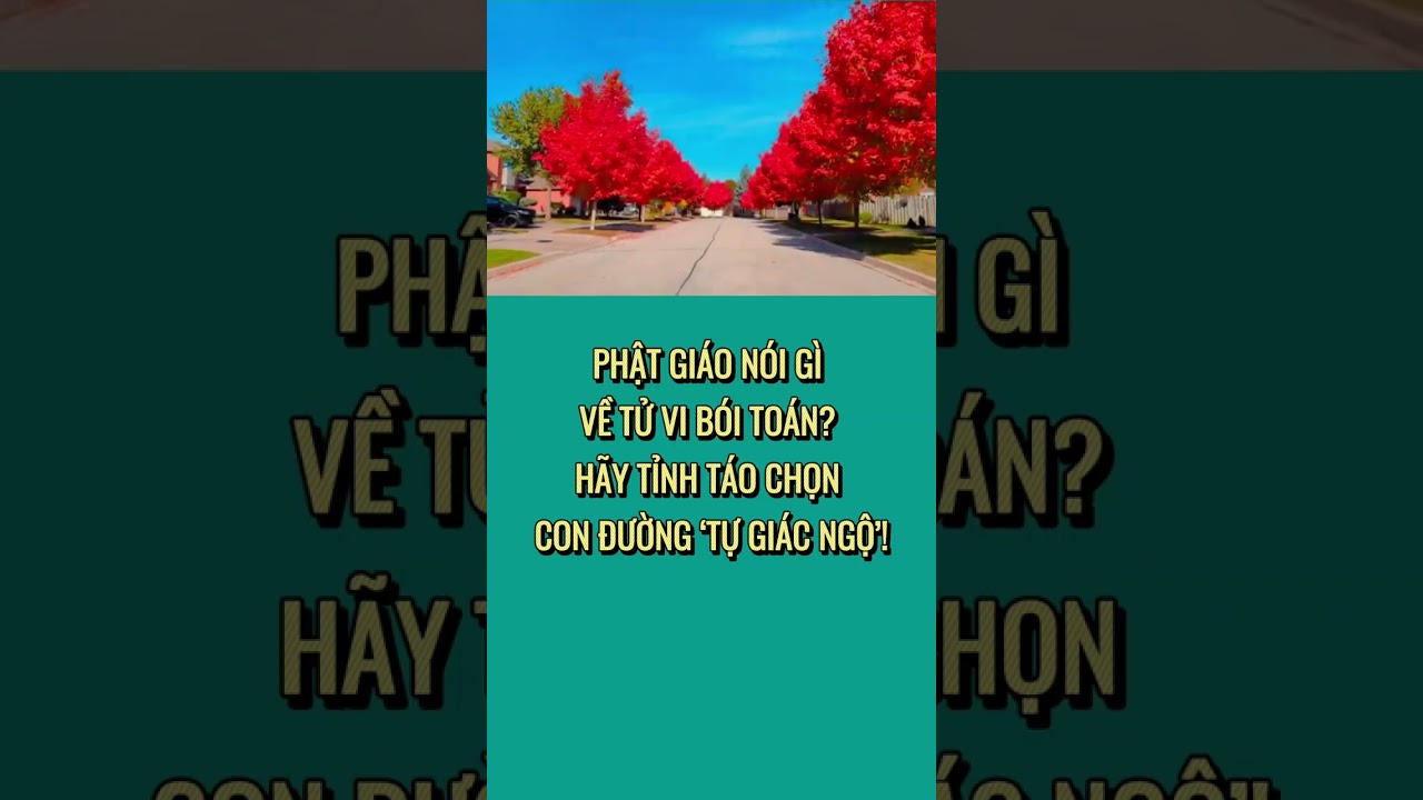 PHẬT GIÁO NÓI GÌ VỀ TỬ VI BÓI TOÁN? HÃY TỈNH TÁO CHỌN CON ĐƯỜNG ‘TỰ GIÁC NGỘ’!