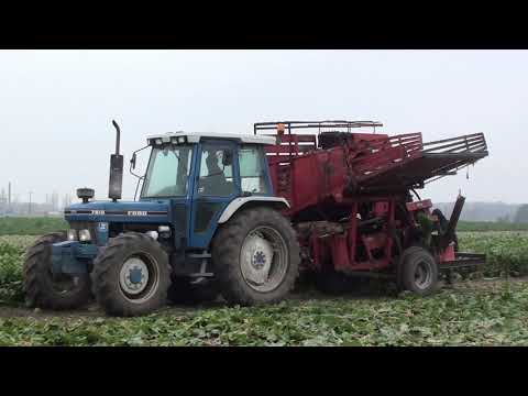 Landb. Dewitte - Wingene - Ford 7810 GEN II - BVL