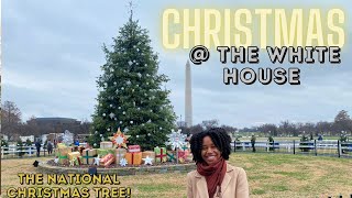 VLOGMAS 2022 DAY 5: Going to See the Lighting of the National Christmas Tree @ The White House