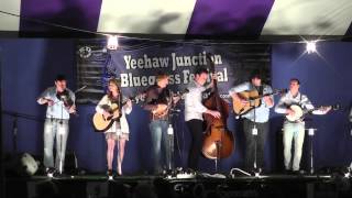 The Roys - Still Standing