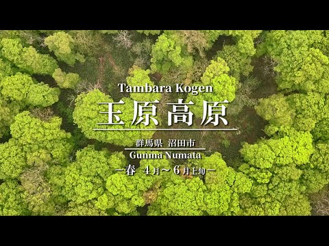 玉原高原　－春 ４月～６月上旬－