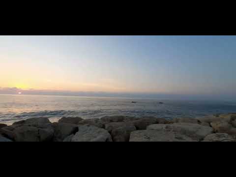 bel ahlam 🎶 Pamela Antoun | بالأحلام ✨ باميلا أنطون  #music