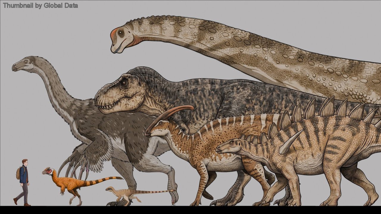 Marching Dinosaurs | Animated Size Comparison