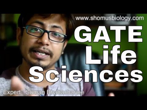 download lagu mp3 mp4 The Gate Life, download lagu The Gate Life gratis, unduh video klip The Gate Life
