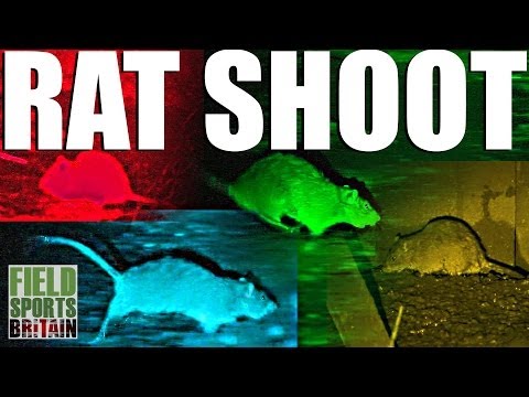 Fieldsports Britain – Shooting Muddy Rats & Tree Rats