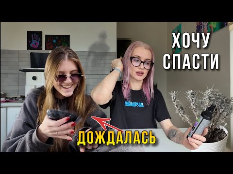 Заселился домовой?! Странный сон и счастливая Кира
