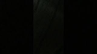 歌のメモ　スーサイドメモリー
