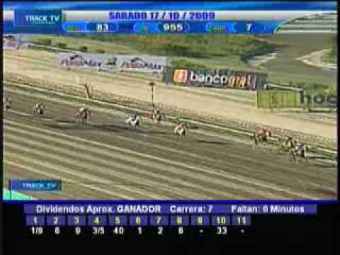 Resumen domingo 17 de Octubre La Rinconada