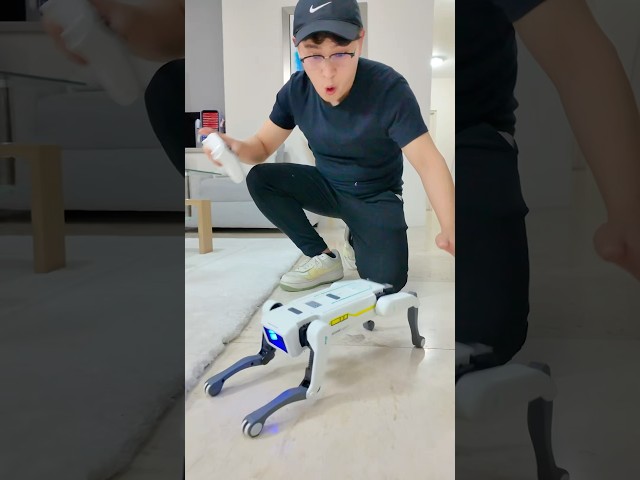 Vídeo relacionado con PLAYMOBIL myLife 71450 Investigador con Robots, Fiesta temática de Ciencia en el Laboratorio, con un dron de Transporte y Robots incluidos, Juguetes para niños a Partir de 4 años