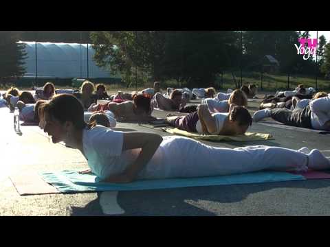 JOGA - POUKE UČITELJA - Oslobođenje, Predrag Nikić