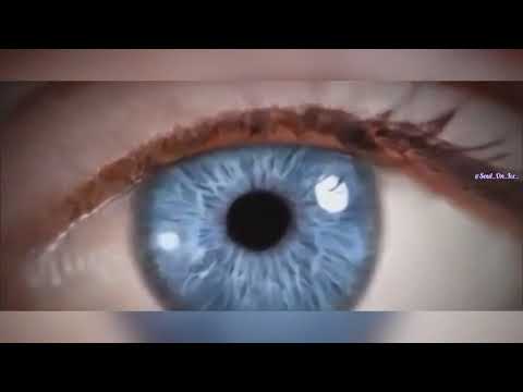 A recap of Wilhelm Reich, Orgone, and Orgone Energy devices for EMF protection