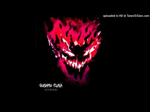 Subaru Playa AVOIDED