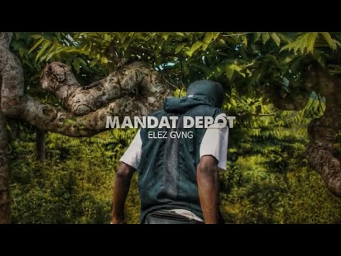 ELEZ - [ MANDAT-DEPOT]