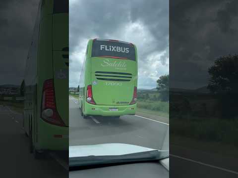 FLIXBUS  GOIANÁPOLIS GOIÁS, BR 060. #flixbus #onibus @Jdmanaturezaemacao  #teodoroesampaio