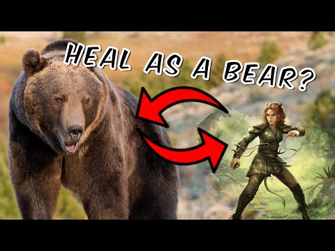 I made the world's STRONGEST D&D Healer (Homebrew Druid Subclass for DND 5e)