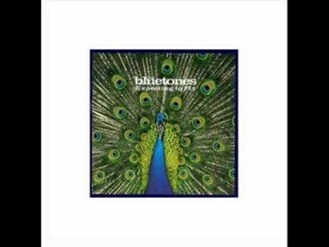 Bluetonic - The Bluetones