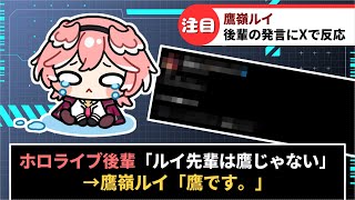 鷹嶺ルイさん、後輩の「ルイ先輩は鷹じゃない」発言にXで反応【ホロライブ】