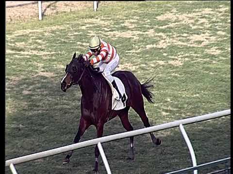 Galoppo 05/02/2019 - 1ª corsa