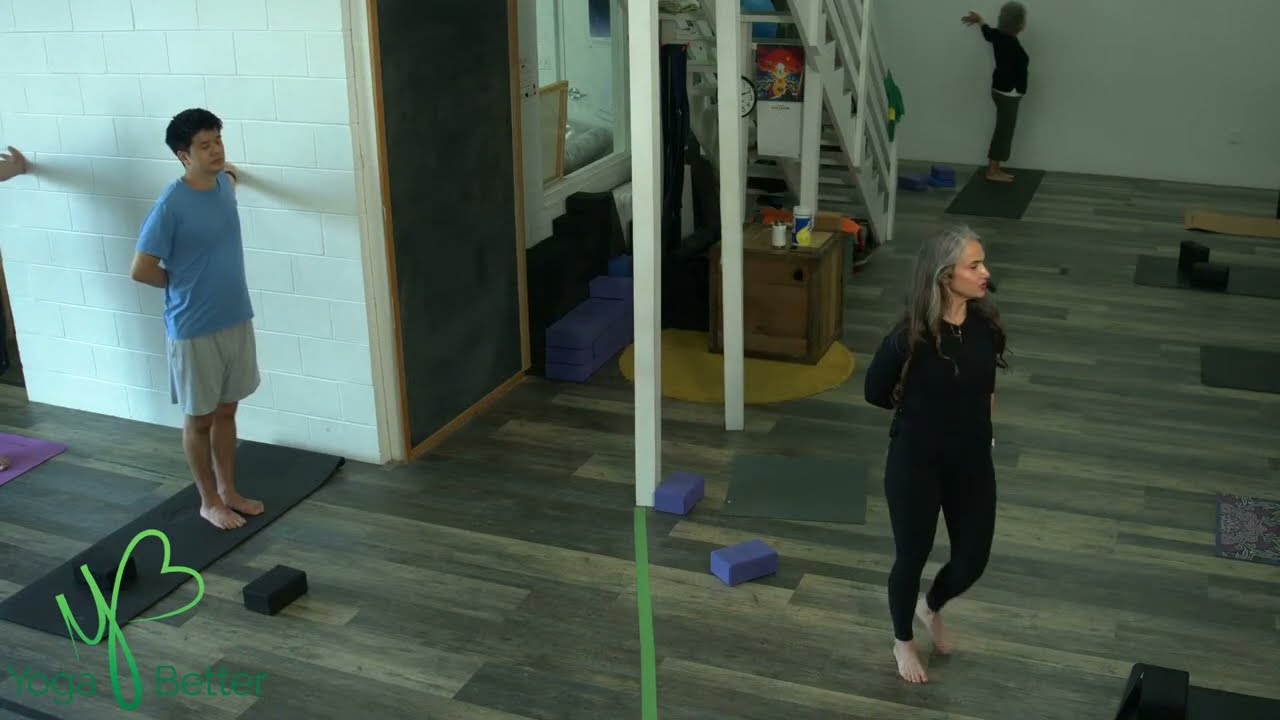 Level 1 - 9am w/ ANDRIA 12.16.24 YOGA BETTER ON LINE! (class starts @ 00:12:50; ends @ 01:12:17)