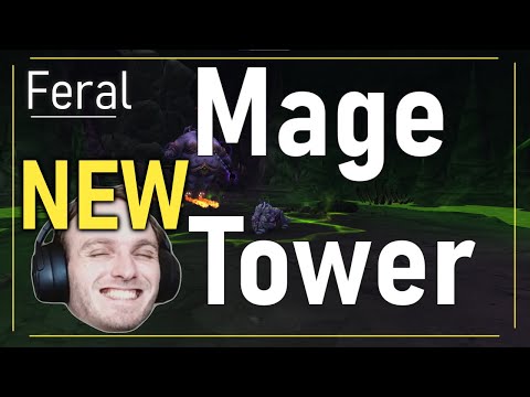 New WoW Patch 9.1.5 Feral Mage Tower Kill Video Guide - World of Warcraft Shadowlands 9.1.5