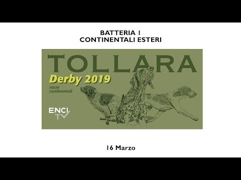 DERBY CONTINENTALI 2019 - CONTINENTALI ESTERI - BATTERIA 1- 16 MARZO