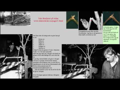 2/2 2008 Palmemordet. Rekonstruktion av Palmemordet del 3.