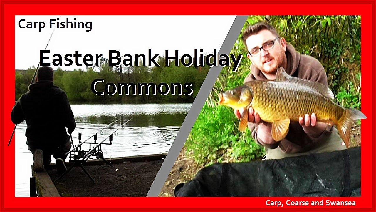 Easter Bank Holiday Commons. Carp, Coarse and Swansea Video 149