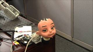 Zeno Face Tracking Demo