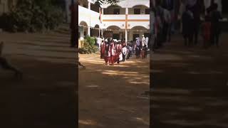 1 monkey vs 1 school girl😂😂✨ | monkey's kick😂 #shorts