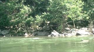 preview picture of video 'South Branch Potomac River (Trough)'