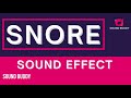 Snore Sound Snore Sound Fx Snore Sound Effects Snore Sfx Human Sound Fx Human Sfx Sound Buddy