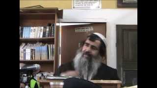 הרב שלום סבג -  - 239