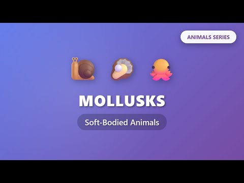 Mollusks for Kids | Snails, Clams & Octopuses Explained | Animals Series