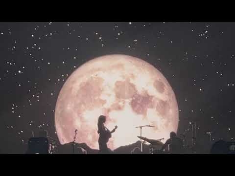 i would give you the moon | a phoebe bridgers playlist