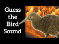 Guess the Bird Call - New Zealand