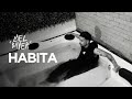 Lael Bayer Habita Prod Dazz