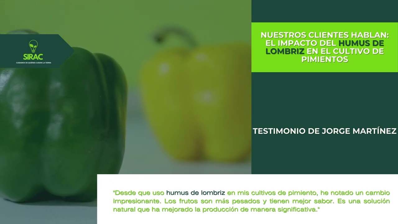 Uso del humus de lombriz - Pimientos