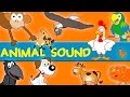 Animals Sounds Sounds Of The Animals Song Learn Animal And Sounds Of Animals