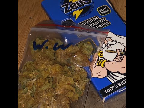 WHITE WIDOW ‐ Nocturno, PraFac, SouFai, CaN - CROTOSSESION OGs #1