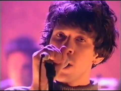 Thumbnail for Shed Seven - "Getting Better" (Live on TFI Friday 1996) by Shed Seven
