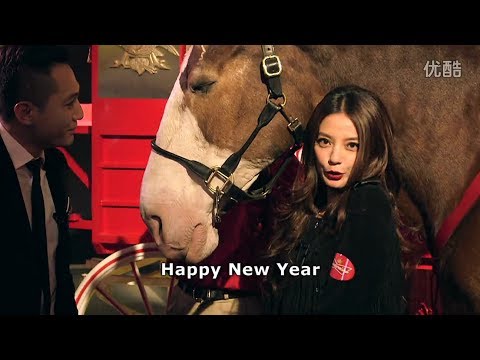 Vicki Zhao / 赵薇 (Zhao Wei): Chinese New Year and Budweiser Clydesdale horses