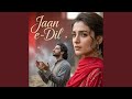 Jaan E Dil