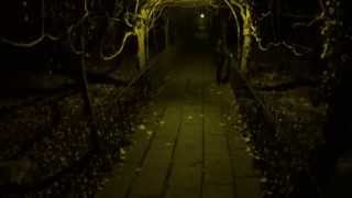 MALACHAI - 'Beyond Ugly' LP Promo