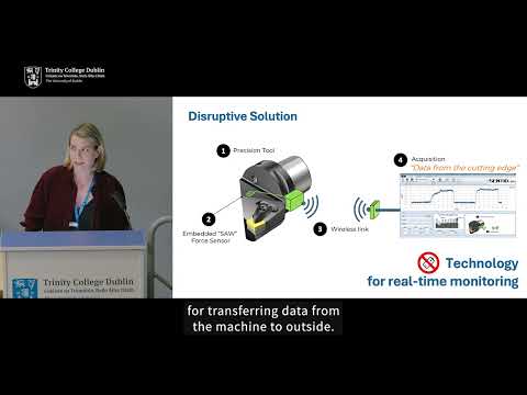 Dr Irina Munina | Designing antennae for complex mechanical systems