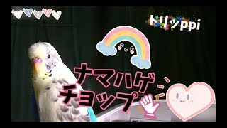 【ドラマ】向かいのバズる家族『ナマハゲチョップ( `・∀・´)ノ 』(内田理央 さん)がお気に入り(^◇^)トリッppiもバズりたい(^∇^)★主題歌 きゃりーぱみゅぱみゅ ☆ きみがいいねくれたら mqdefault - 【ドラマ】向かいのバズる家族『ナマハゲチョップ( `・∀・´)ノ 』(内田理央 さん)がお気に入り(^◇^)トリッppiもバズりたい(^∇^)★主題歌 きゃりーぱみゅぱみゅ ☆ きみがいいねくれたら